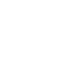 AI Strategy & Consulting