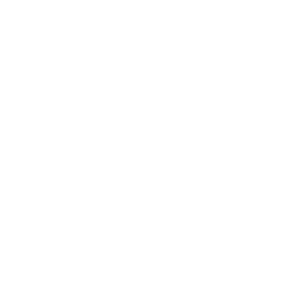 API Integration Services