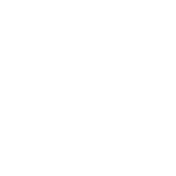 Analytics & Reporting