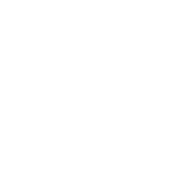 Blockchain Development