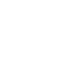Blockchain Security Solutions