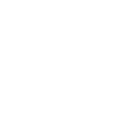 Bug Fixing & Troubleshooting