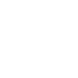 Business Process Automation