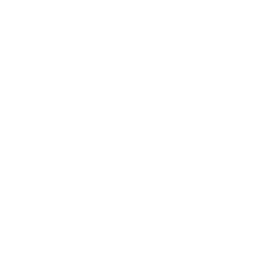 CRM Integration Services