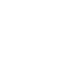 Computer Vision Systems