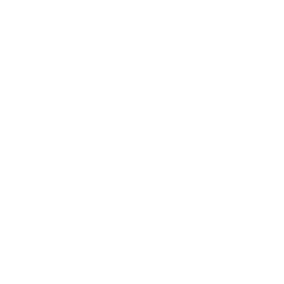 Custom CRM Development