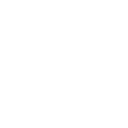 Custom Industry Solutions