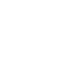 Custom Solutions