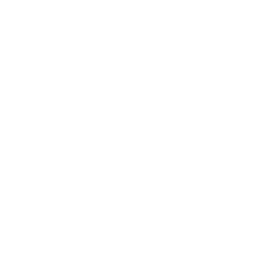 Custom Store Development