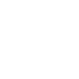 Cybersecurity Consulting Services