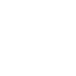 Data Management Systems