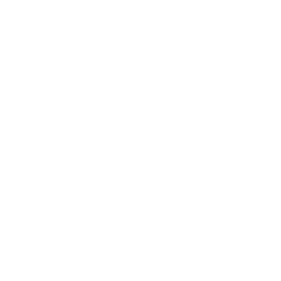 Data Warehousing