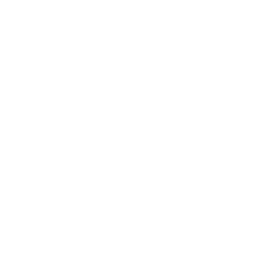 Decentralized Application Development