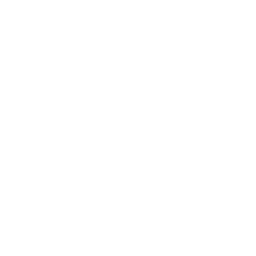 DevOps Consulting Services