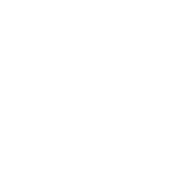 Digital Transformation Consulting