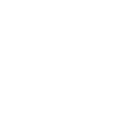 IT Strategy Consulting