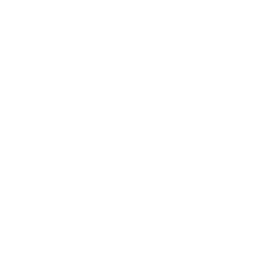 Interactive Dashboards
