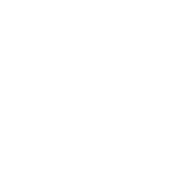 Lead Management Systems