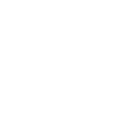 Mobile Application Testing