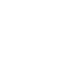 Mobile Shopping Experiences