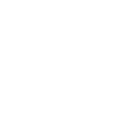 Monitoring & Support Services
