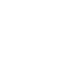 Natural Language Processing