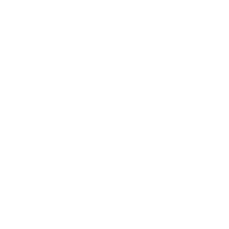 Neural Network Development