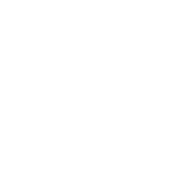 Predictive Analytics