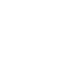 Security Testing Services