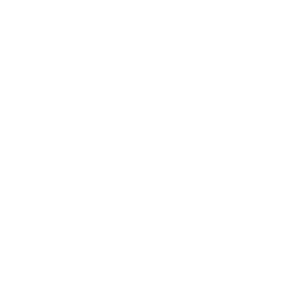 Shopping Cart Solutions