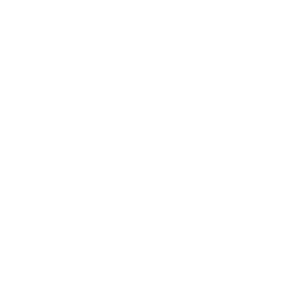 Smart Contract Development