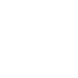 Smart Parking