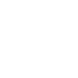 Technical Support Services