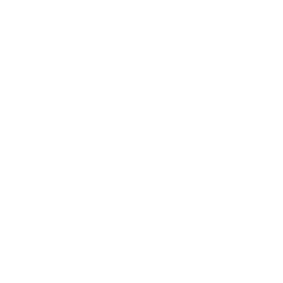 Technology Architecture Consulting