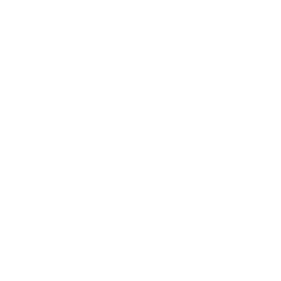 Test Automation Services
