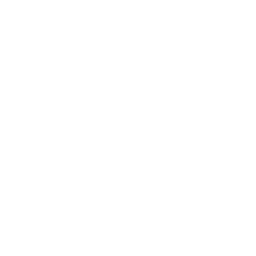 VR Experience Development