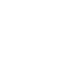 Website Security Management