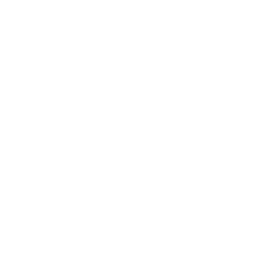 iOS App Development