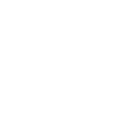 Bug Fixing & Resolution