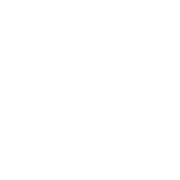 Business Process Mapping