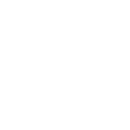Data Automation