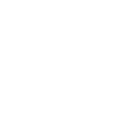 Database Management