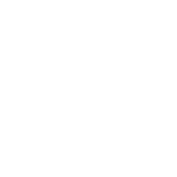 Firmware Engineering