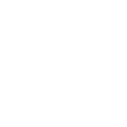 Post-Implementation Support