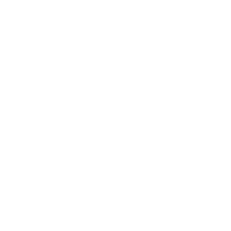 Data Analytics & Reporting