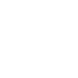 User Training & Change Management